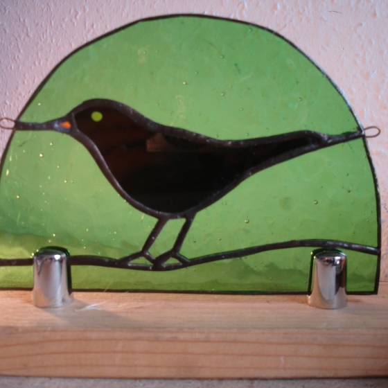 Blackbird in Sherwood
